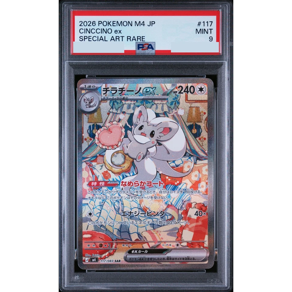 Cinccino ex SAR — front