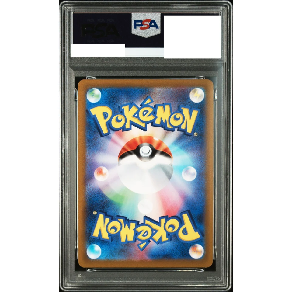 Celebi V SR — back