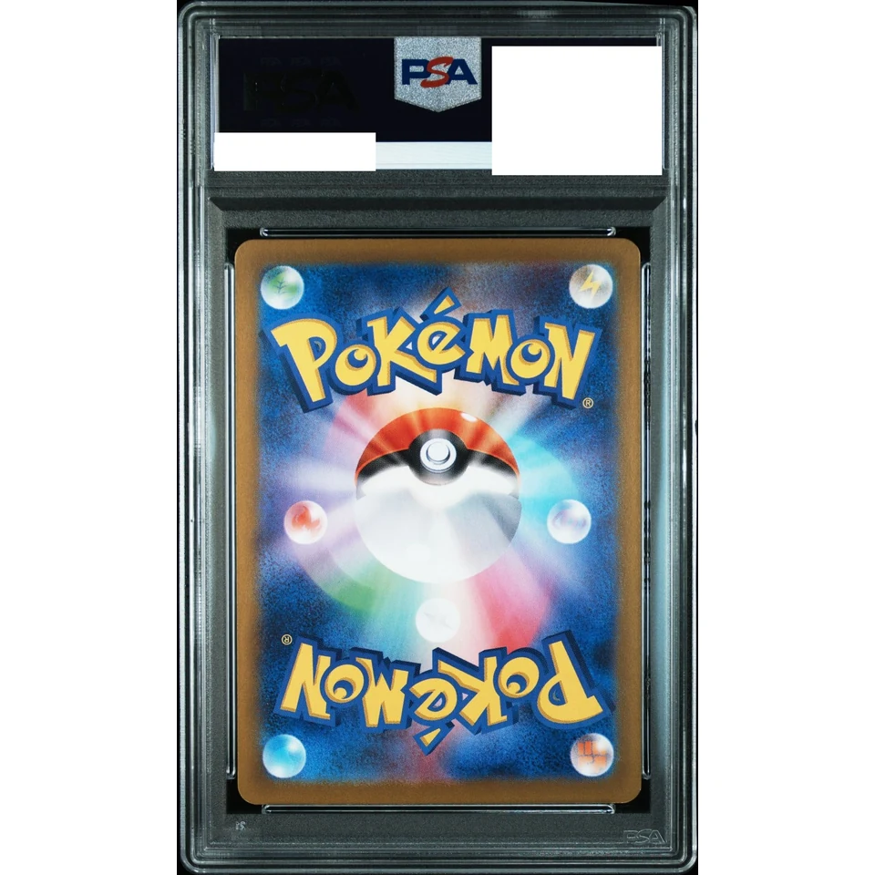N's Zorua AR — back