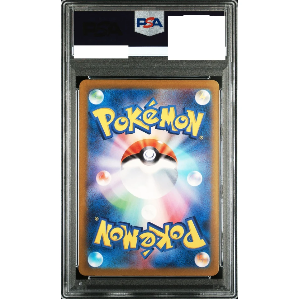 Plusle AR — back