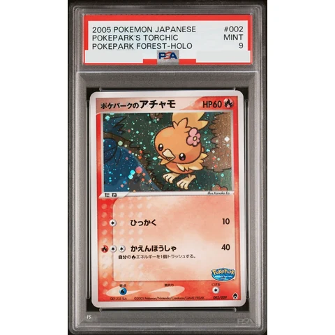 Achamo at Pokepark — front