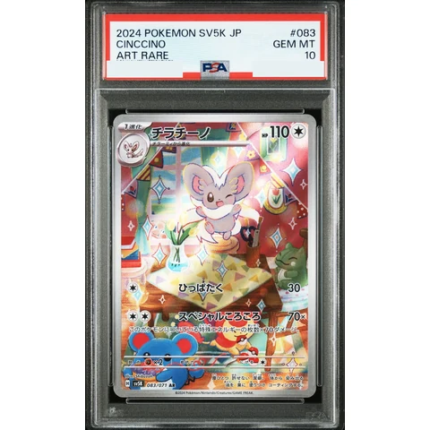 Cinccino AR — front