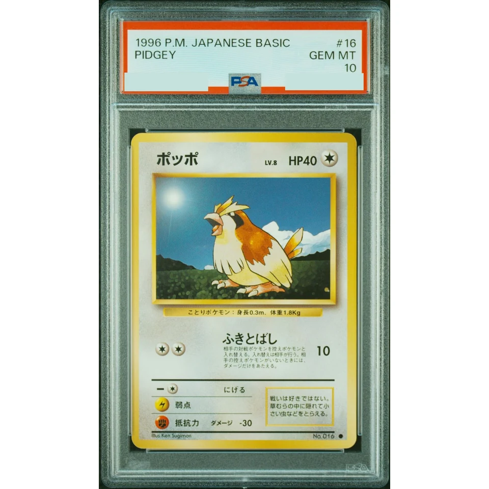 Pidgey : Old Back — front