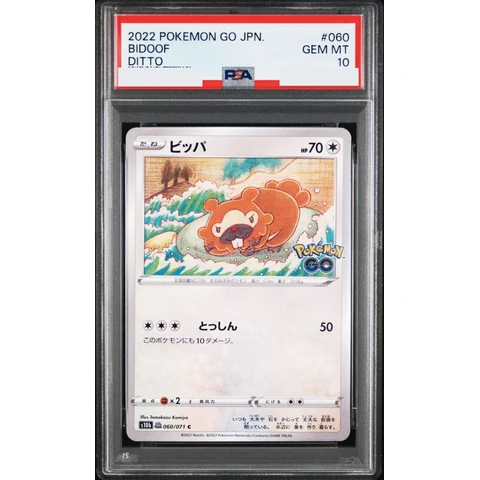 Bidoof / Ditto :With Ditto Mark C — front