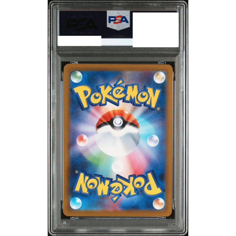 Minccino AR — back