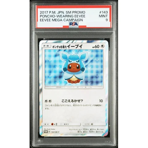 Eevee wearing a poncho: PROMO — front