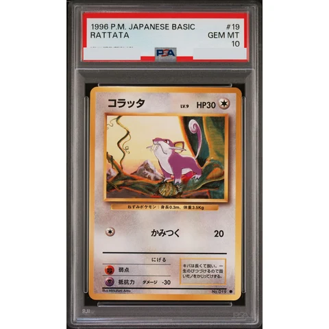 Rattata : Old Back — front