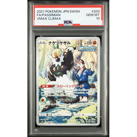 Passimian CHR — front