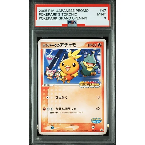 Achamo at Pokepark P — front