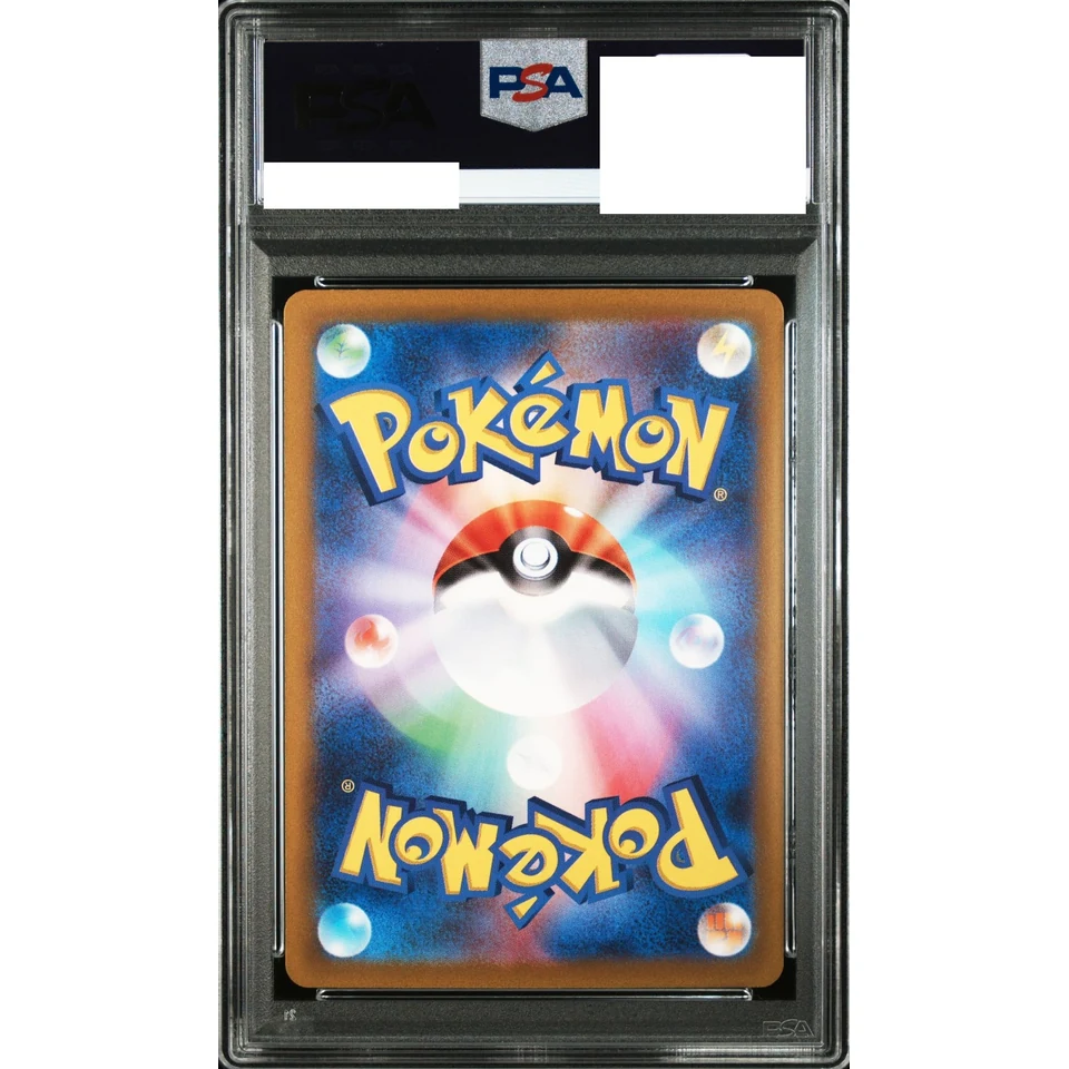Magnezone AR — back