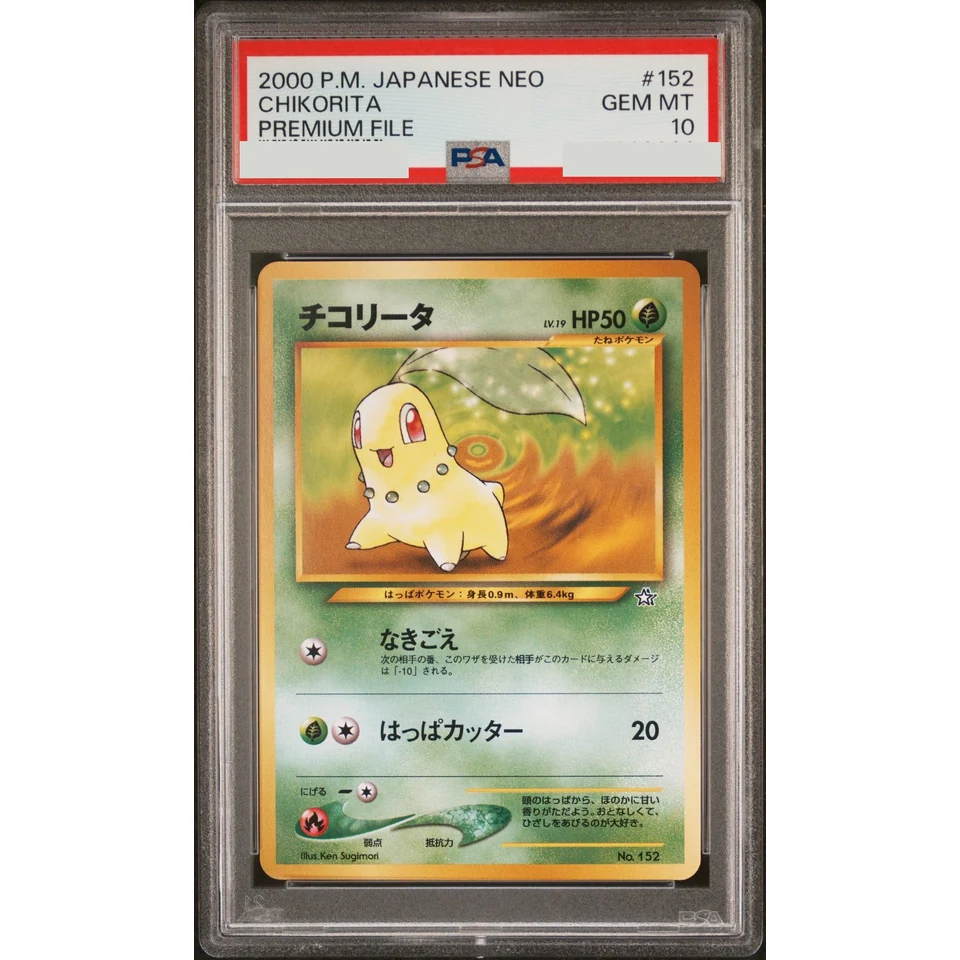 Chikorita : Old Back — front