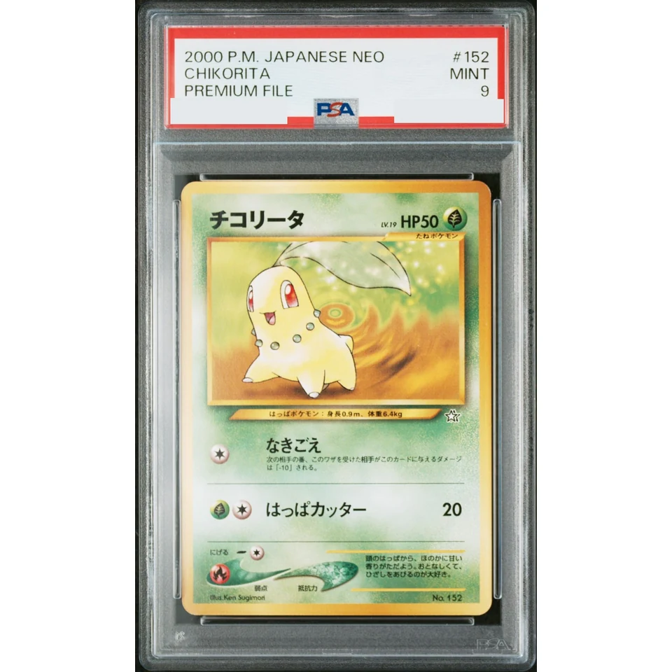 Chikorita : Old Back — front