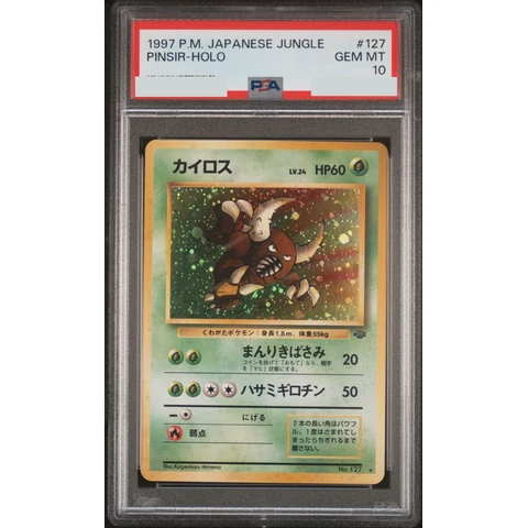 Pinsir R: Old Back — front