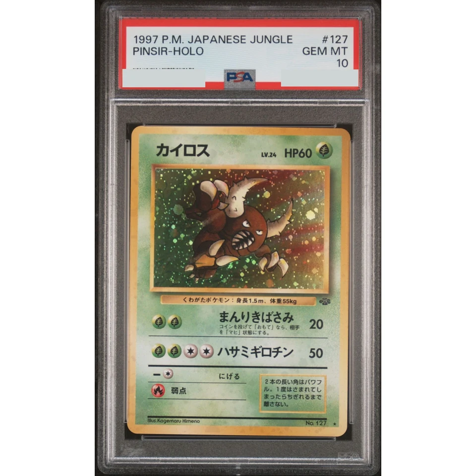 Pinsir R: Old Back — front