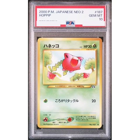 Hoppip : Old Back — front