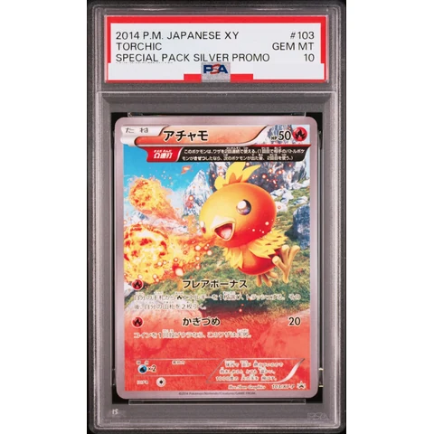 Torchic P — front