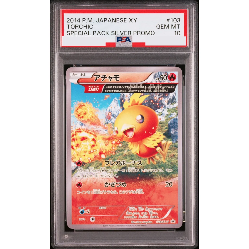 Torchic P — front