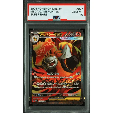MEGA Camerupt ex SR — front