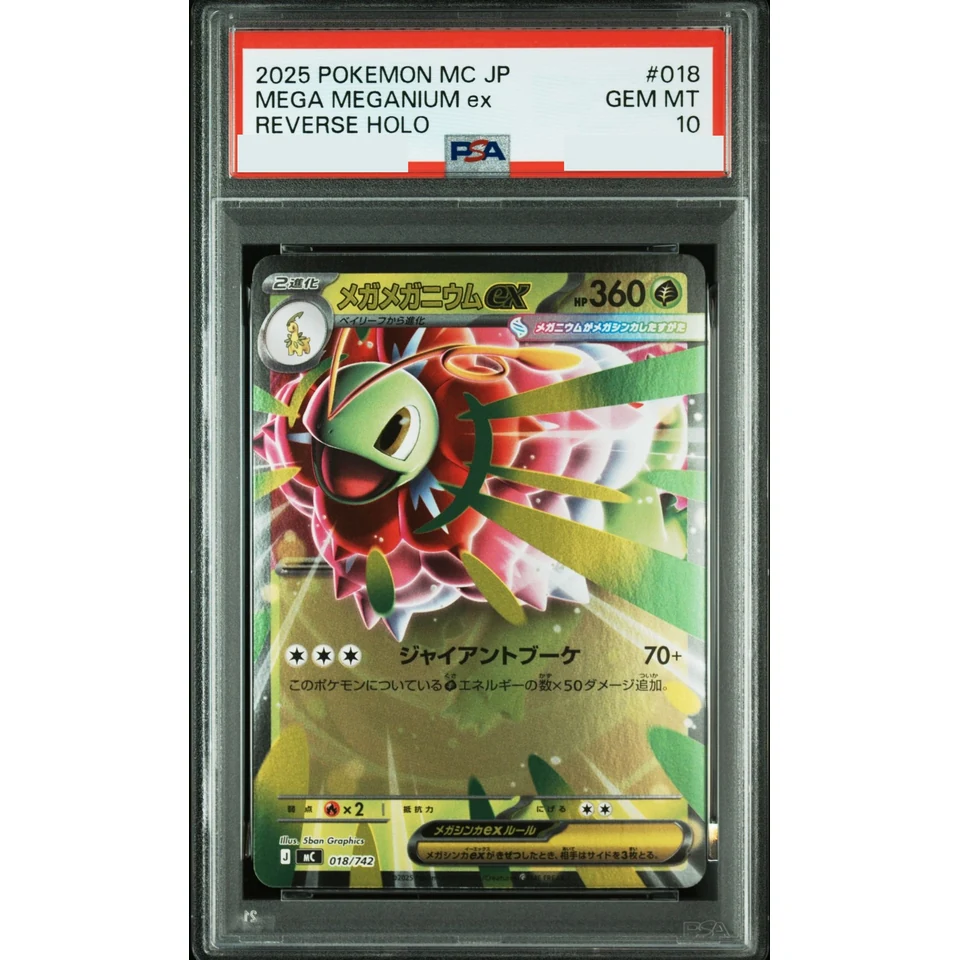 MEGA Meganium ex :Mirror — front