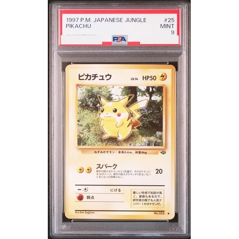 Pikachu : Old Back — front