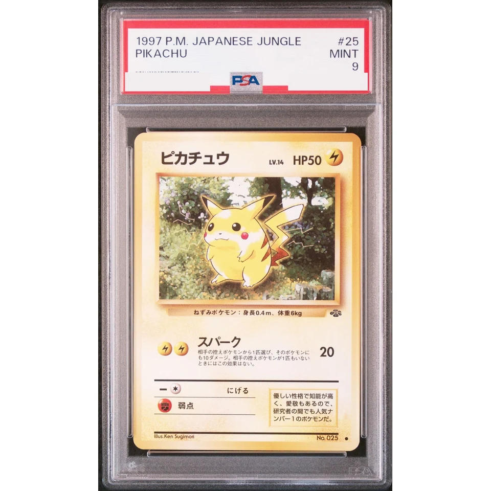 Pikachu : Old Back — front