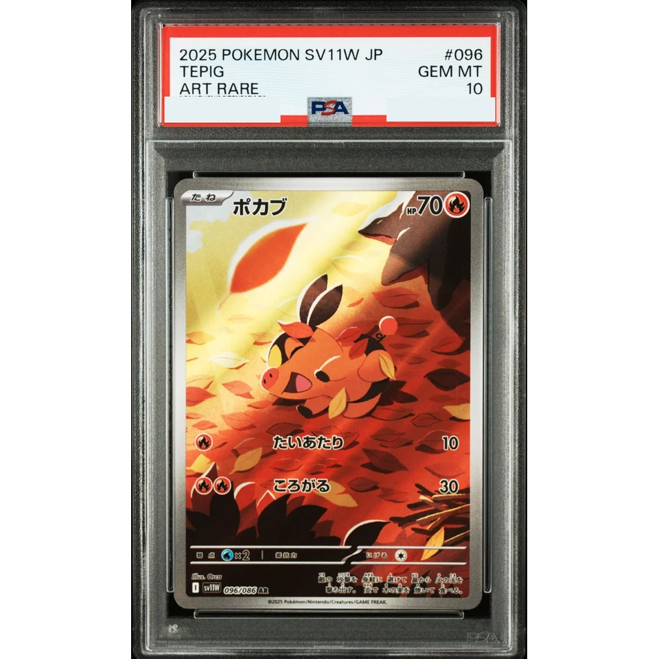 Tepig AR — front