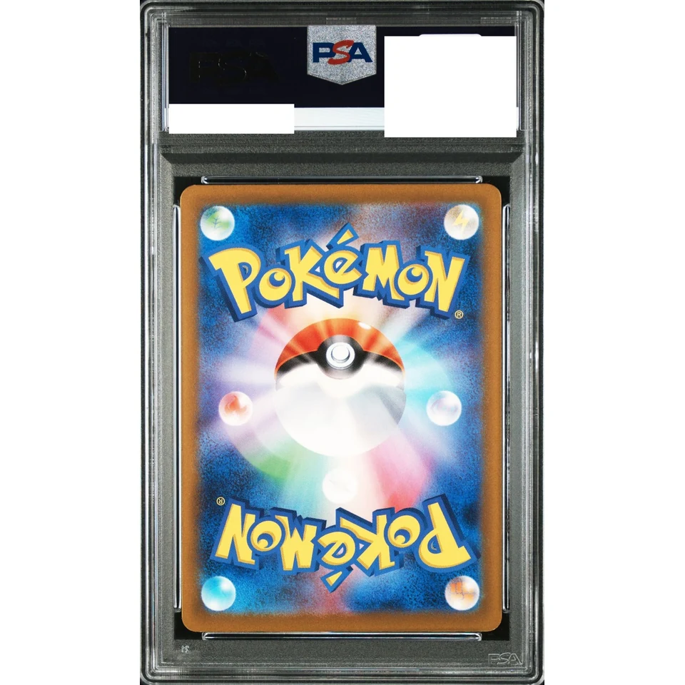 Steelix AR — back