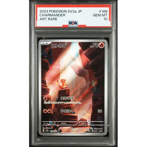 Charmander AR — front