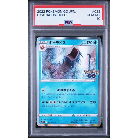 Gyarados R — front