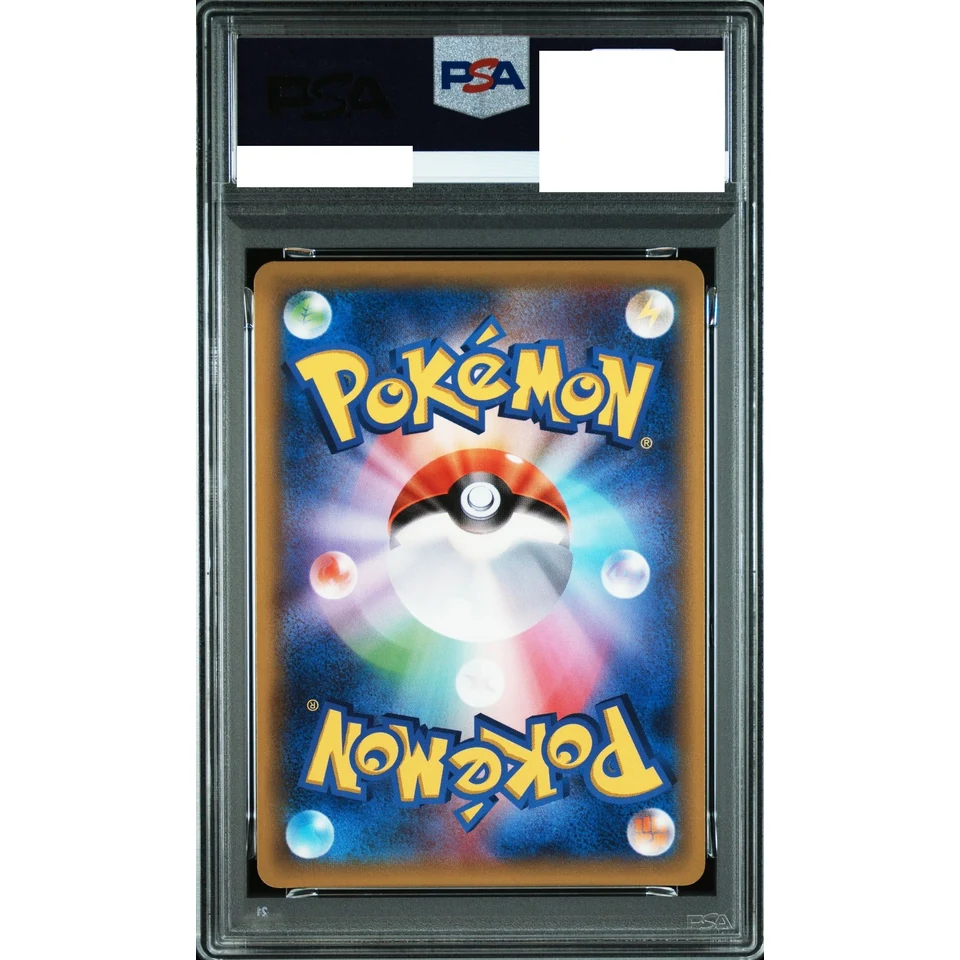 Celebi P — back
