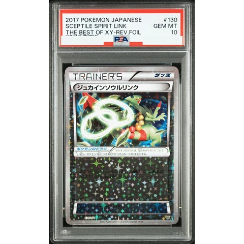 SceptileSoul Link :Mirror — front