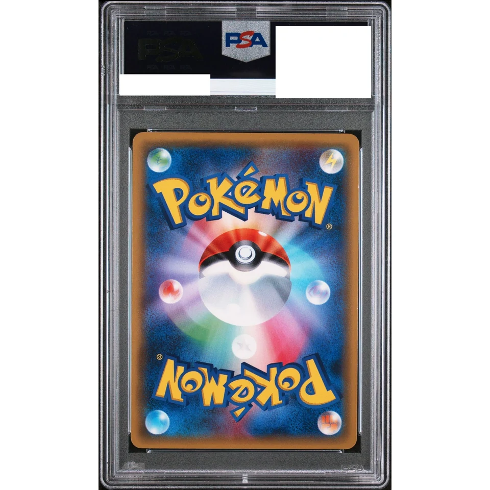 Pikachu wearing a poncho Pikachu: PROMO — back