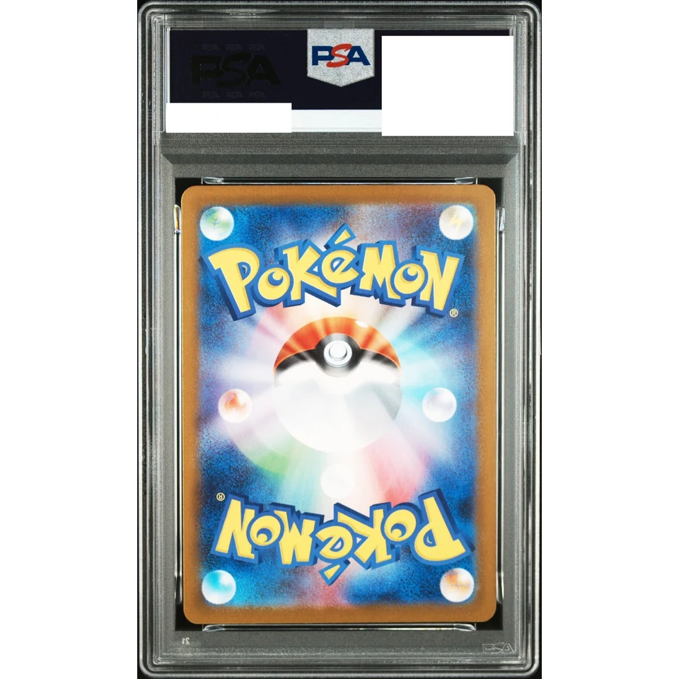 Zamazenta AR — back