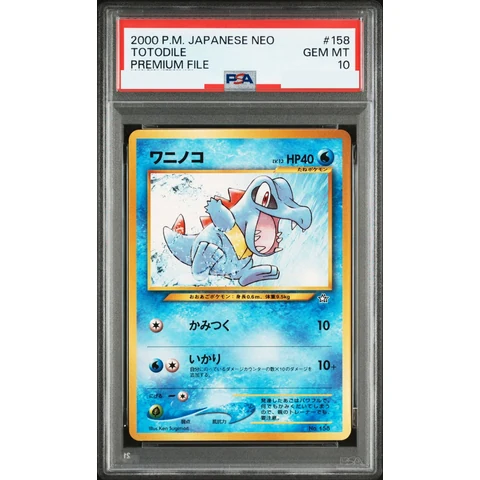 Totodile : Old Back — front