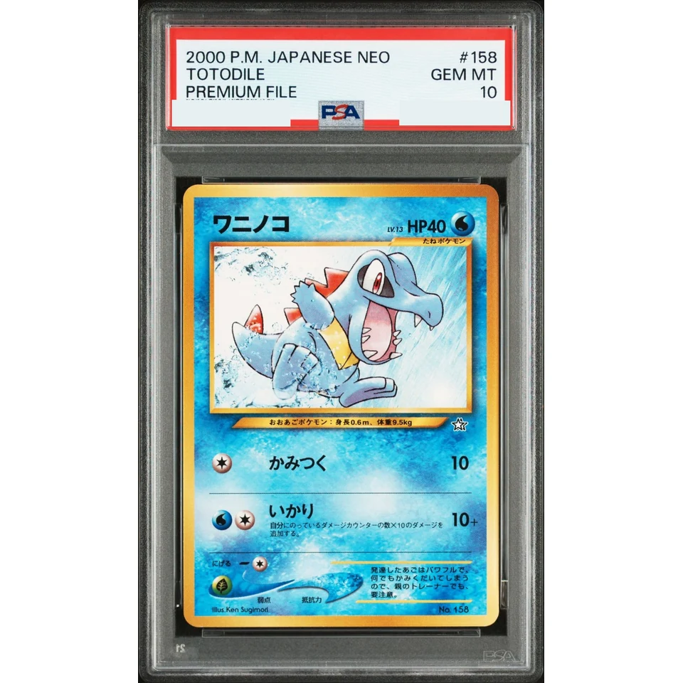 Totodile : Old Back — front