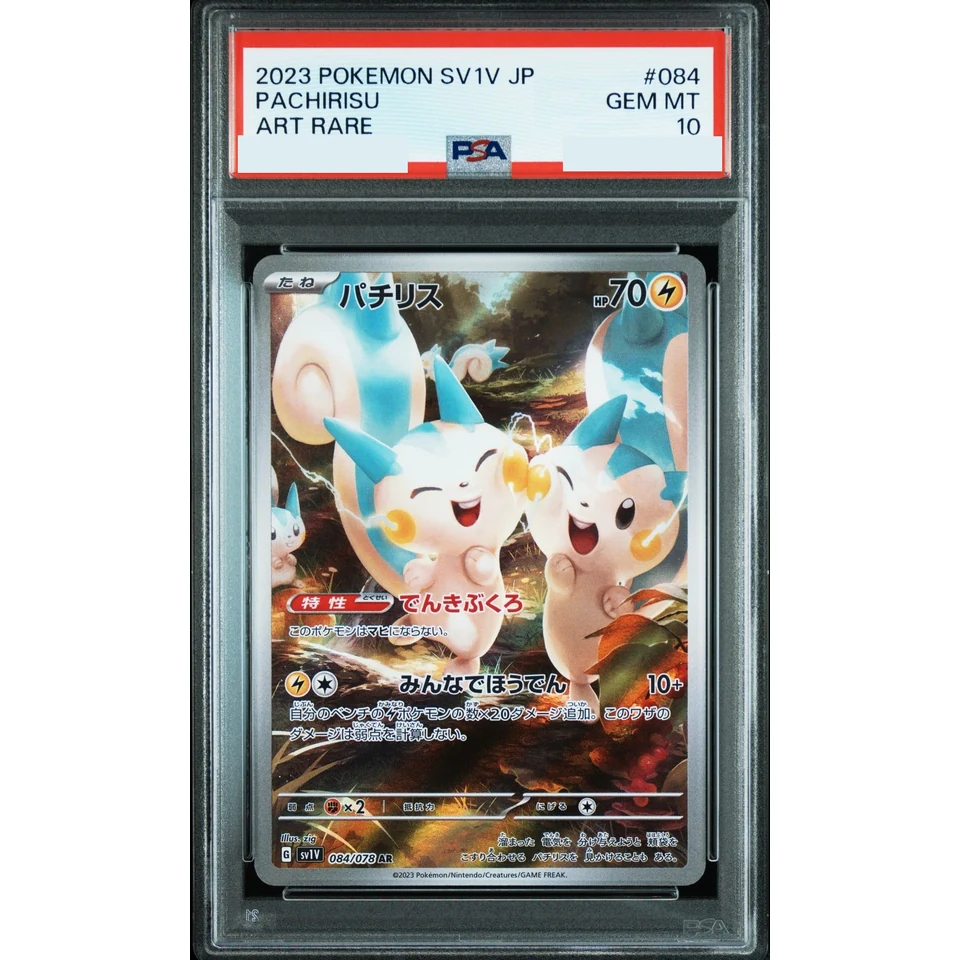 Pachirisu AR — front