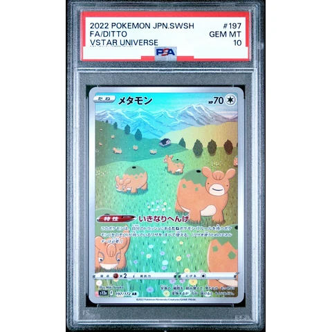 Ditto AR — front