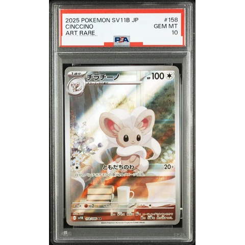 Cinccino AR — front