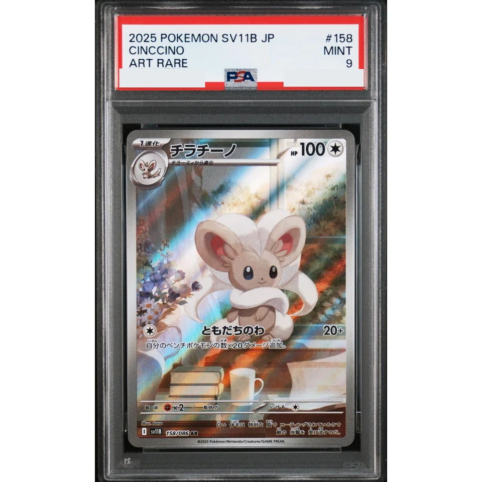 Cinccino AR — front