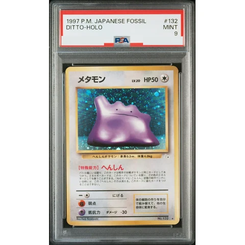 Ditto R: Old Back — front