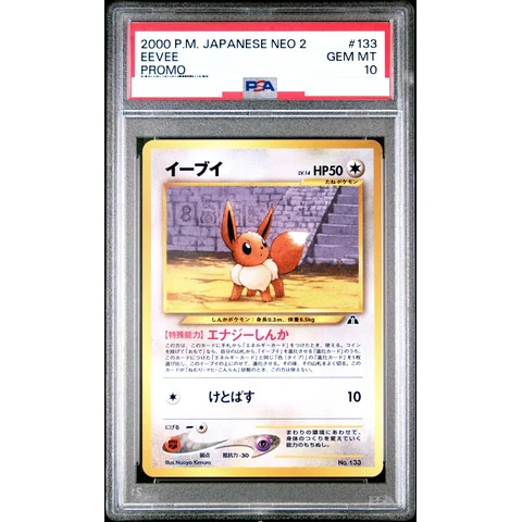 Eevee Premium File 2: Old Back — front