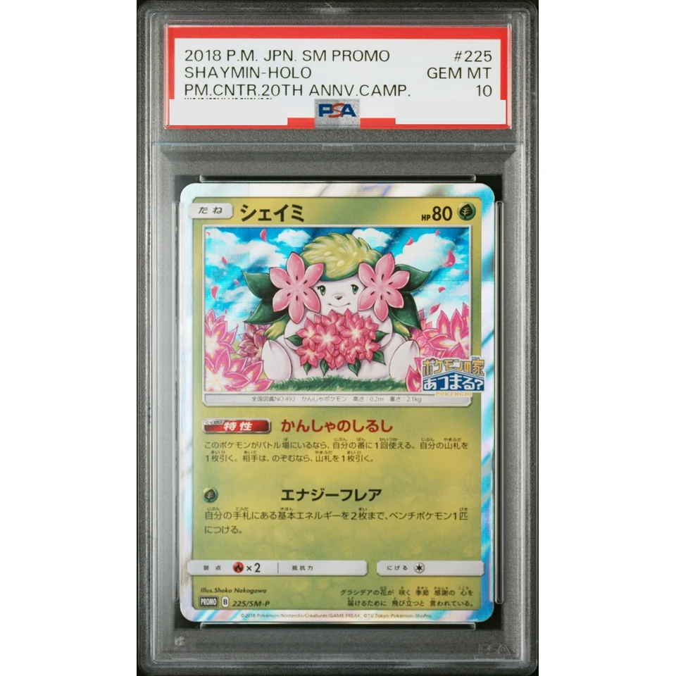Shaymin P — front