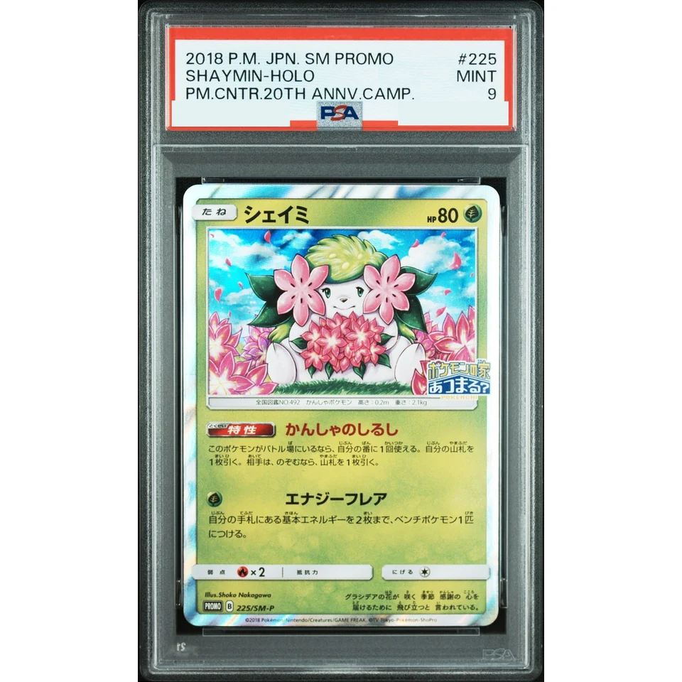 Shaymin P — front