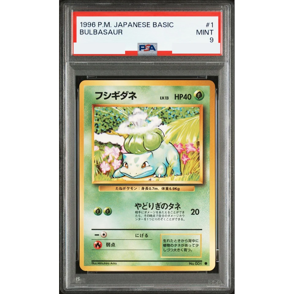 Bulbasaur : Old Back — front