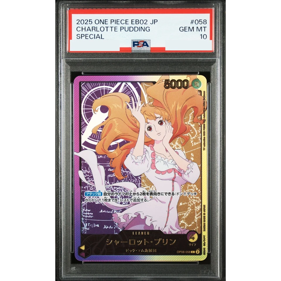 Charlotte Pudding L-SPC — front