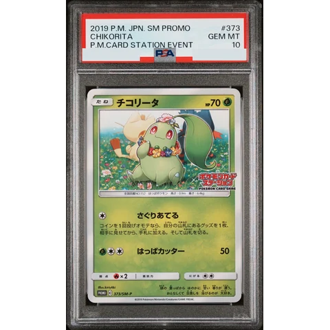 Chikorita P — front