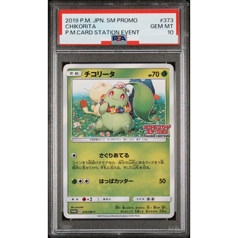 Chikorita P — front