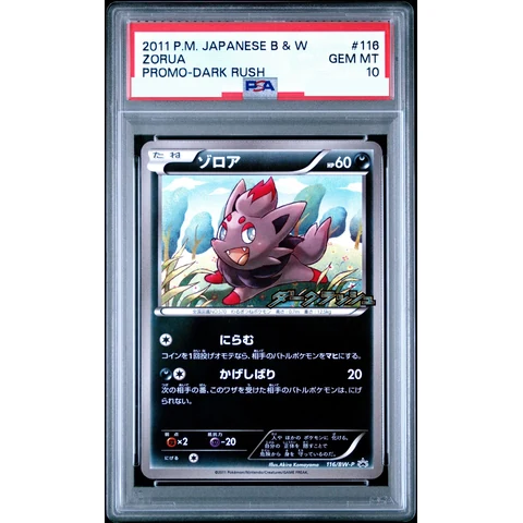 Zorua P — front