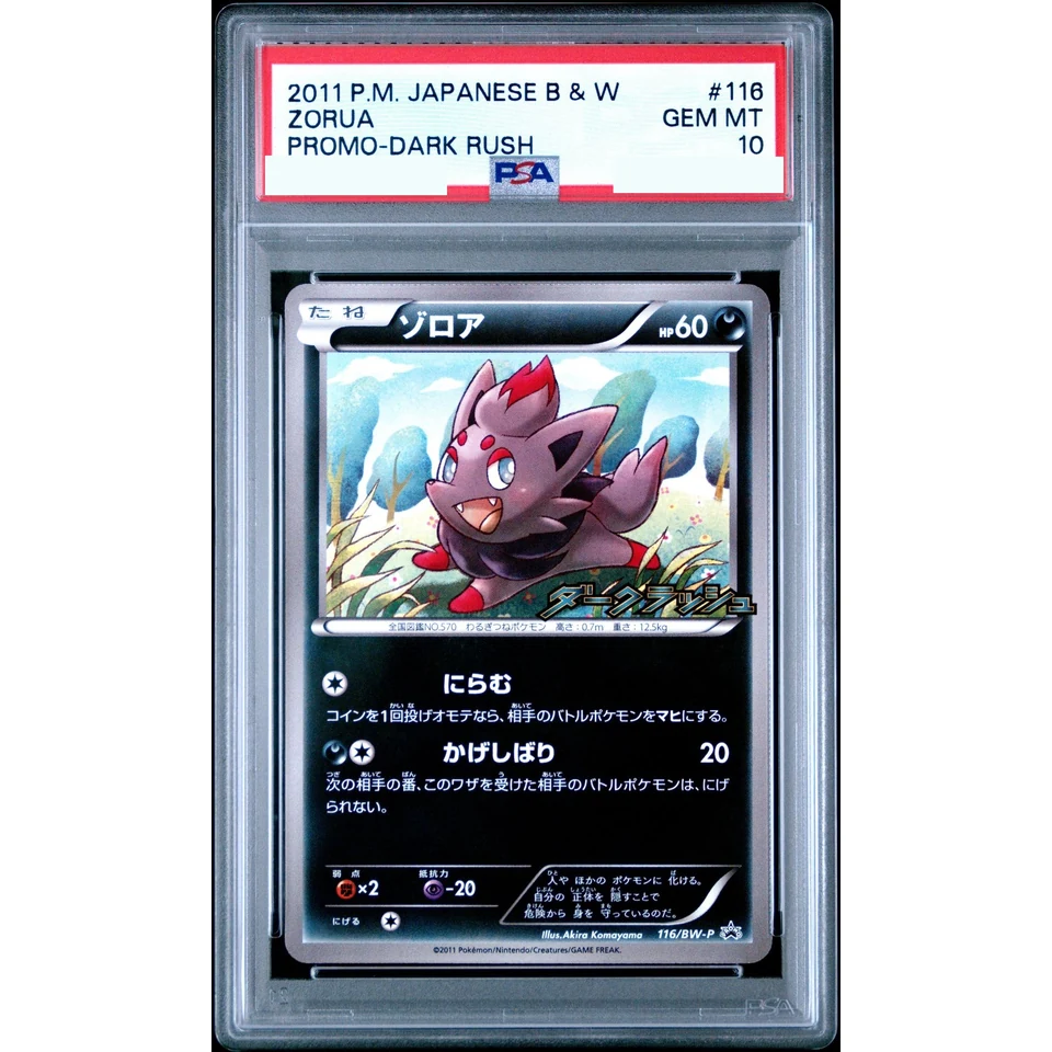 Zorua P — front