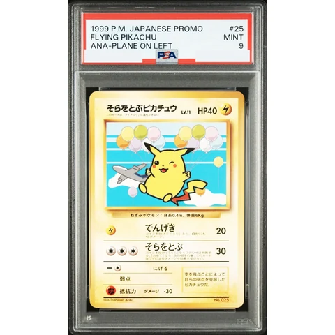 Flying Pikachu : Old Back — front